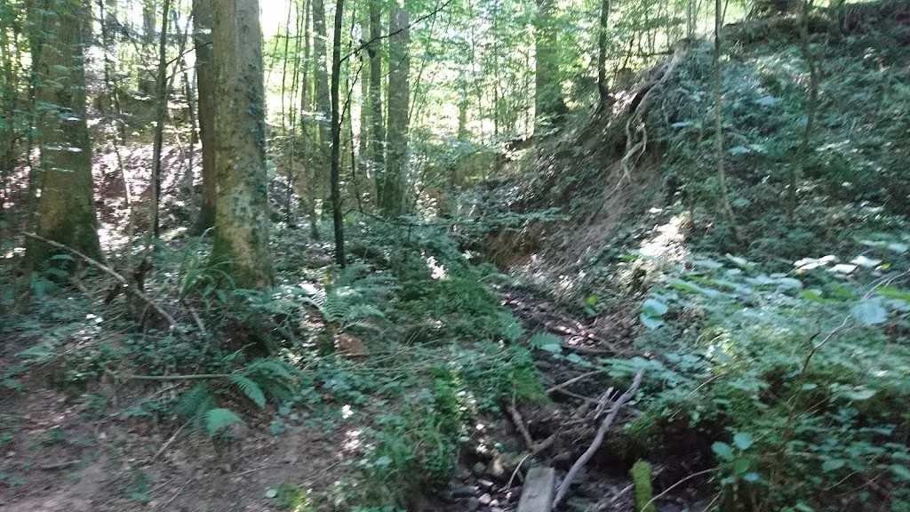 Fohlenhof Sulzbachtal - Foto 1