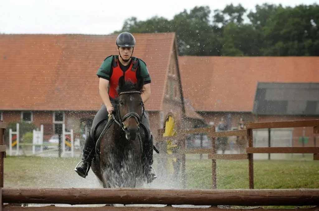 Reitsportanlage-Stehbrink - Foto 2