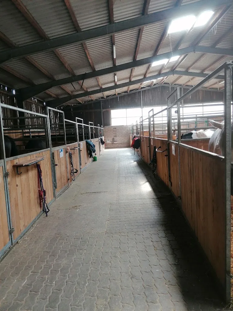 Reitlal CBD-Eber Sulzthal Sport - Foto 1