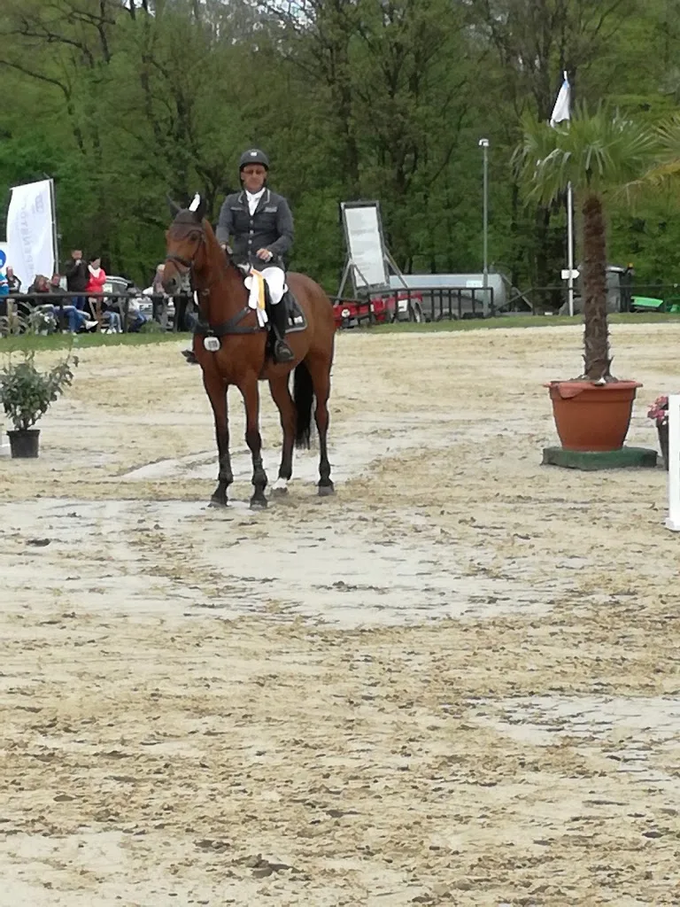 Marc Boes - photo 2