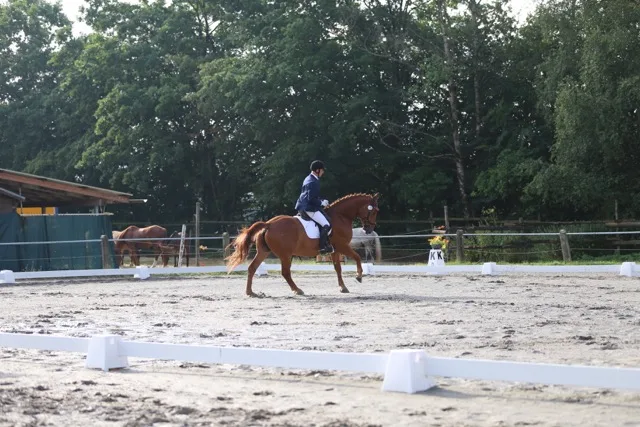 Reitschule Haas - photo 1