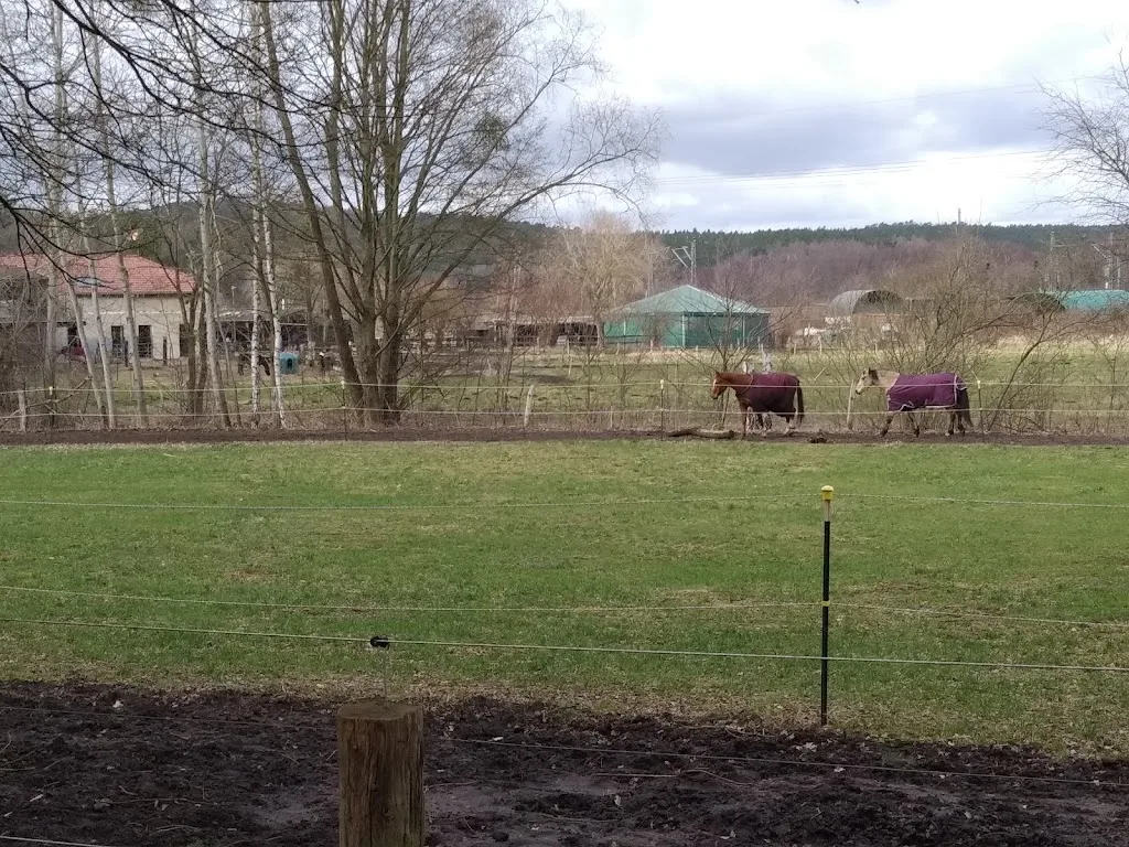 Pferdehof Kohlschmidt - photo 2