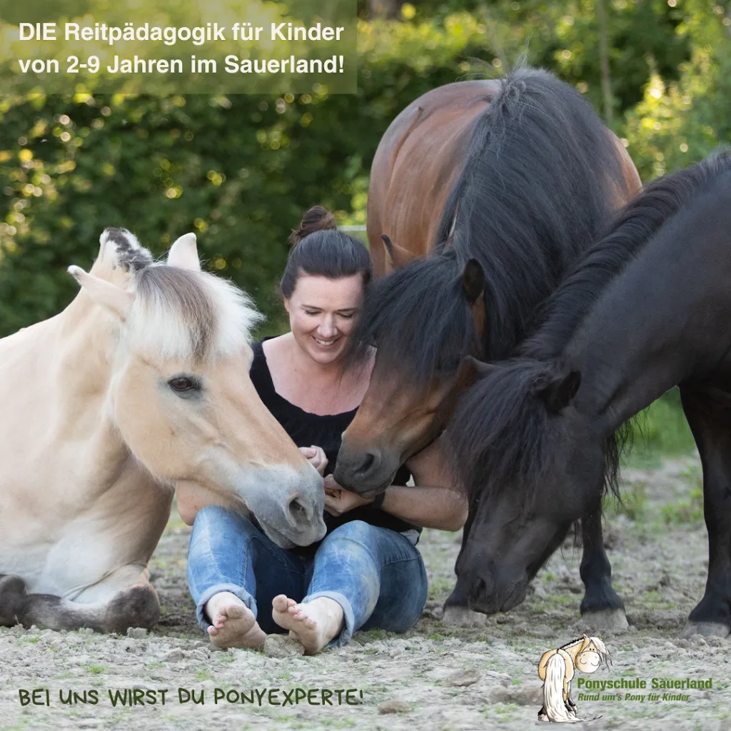 Pferderanch Sauerland - Foto 2