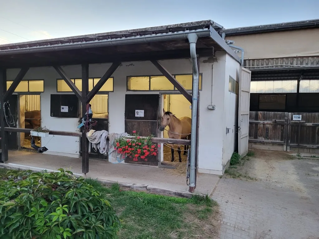 Reitclub Fischbach e.V. - Foto 1