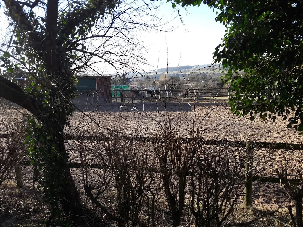 Aussiedlerhof - Foto 2