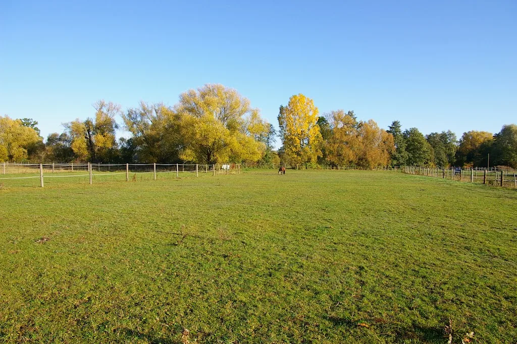 Reitstall Nürnberg Neunhof - Foto 1