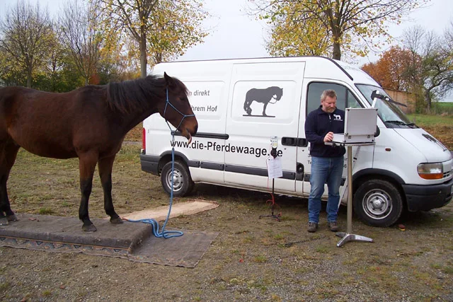 Mobile Pferdewaage MK - photo 2