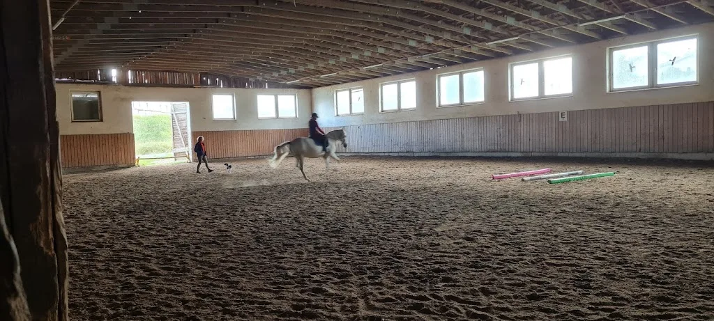 Alois Höltl Reitstall - Foto 3