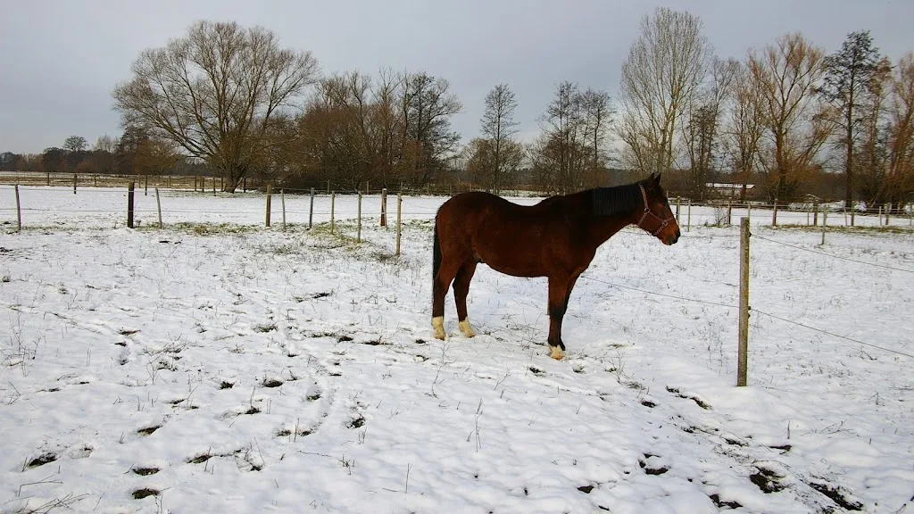 Reiterhof Tennenlohe - Foto 1