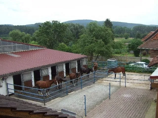 Schmiedehof Pferdehaltung - photo 2