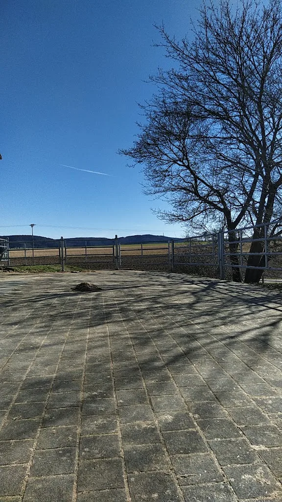Pferdezentrum Sulz - Foto 3