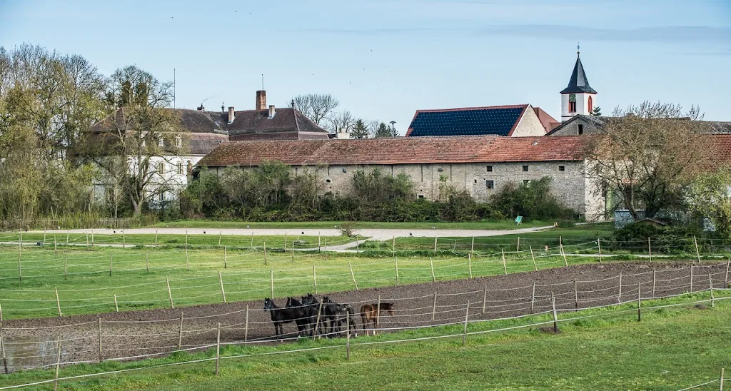 Sauers Pferdehof - Foto 2