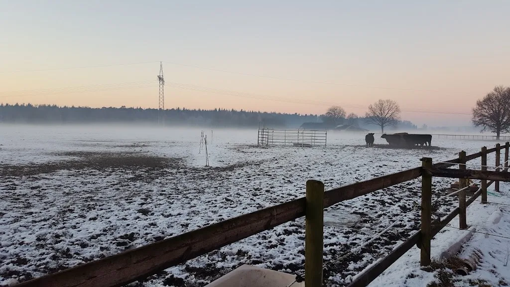 Hof Steller Berg - Foto 1