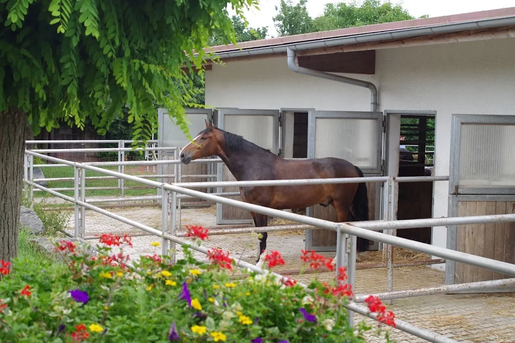 Reitanlage Hof Hiller - Foto 1