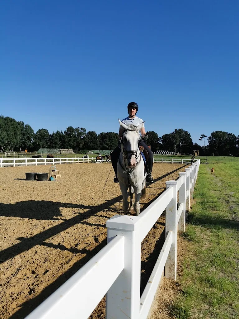 Reitsportzentrum Hemmoor - Foto 3