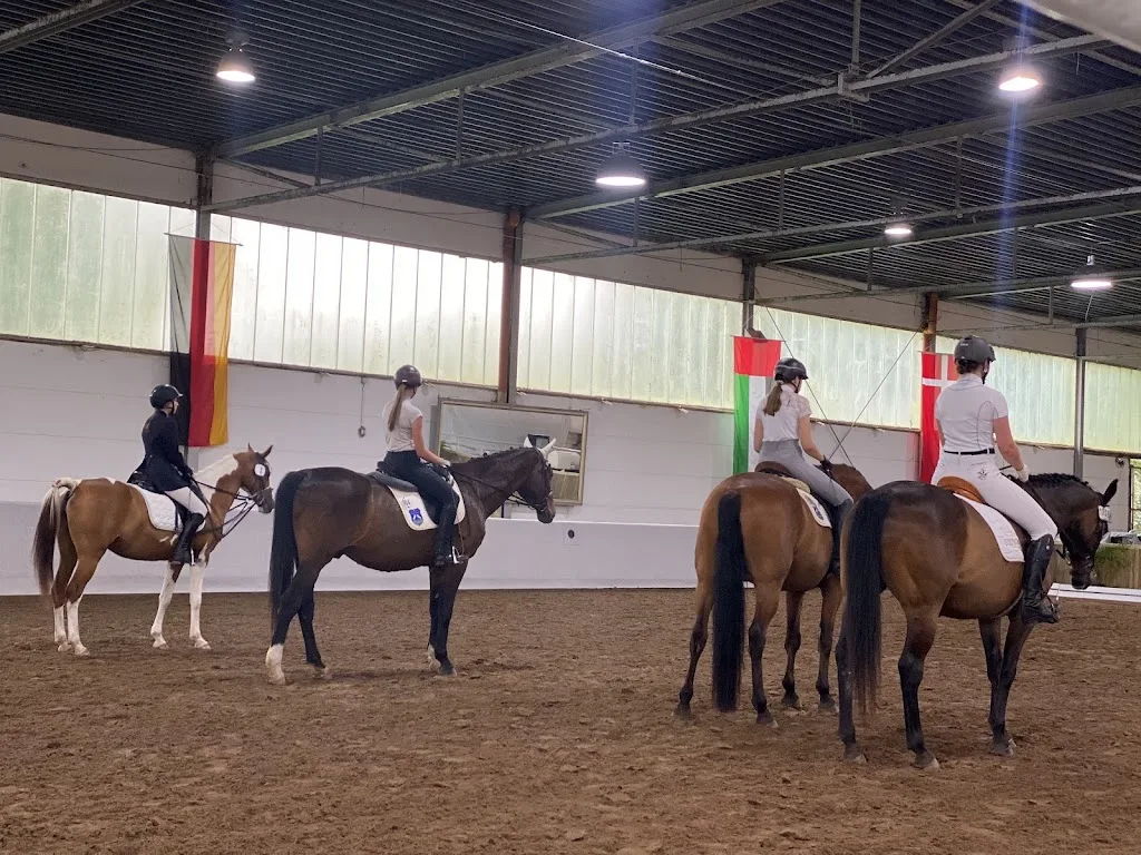 Reitsportanlage Hörste - Foto 1