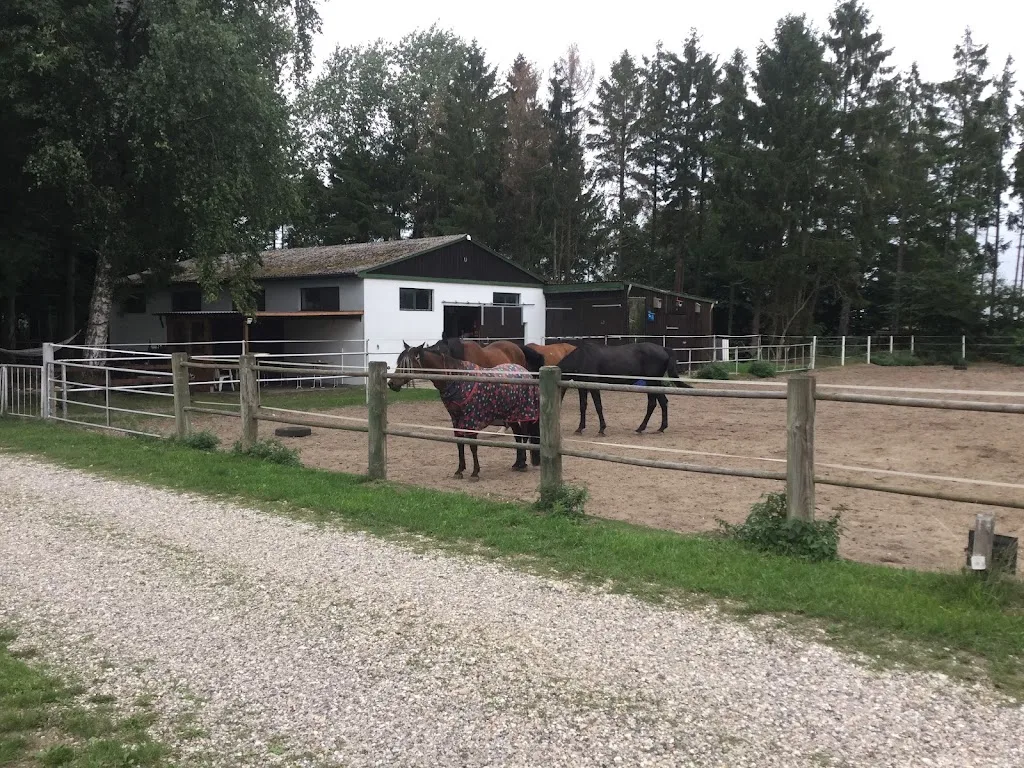reitstall silver in handewitt - photo 1