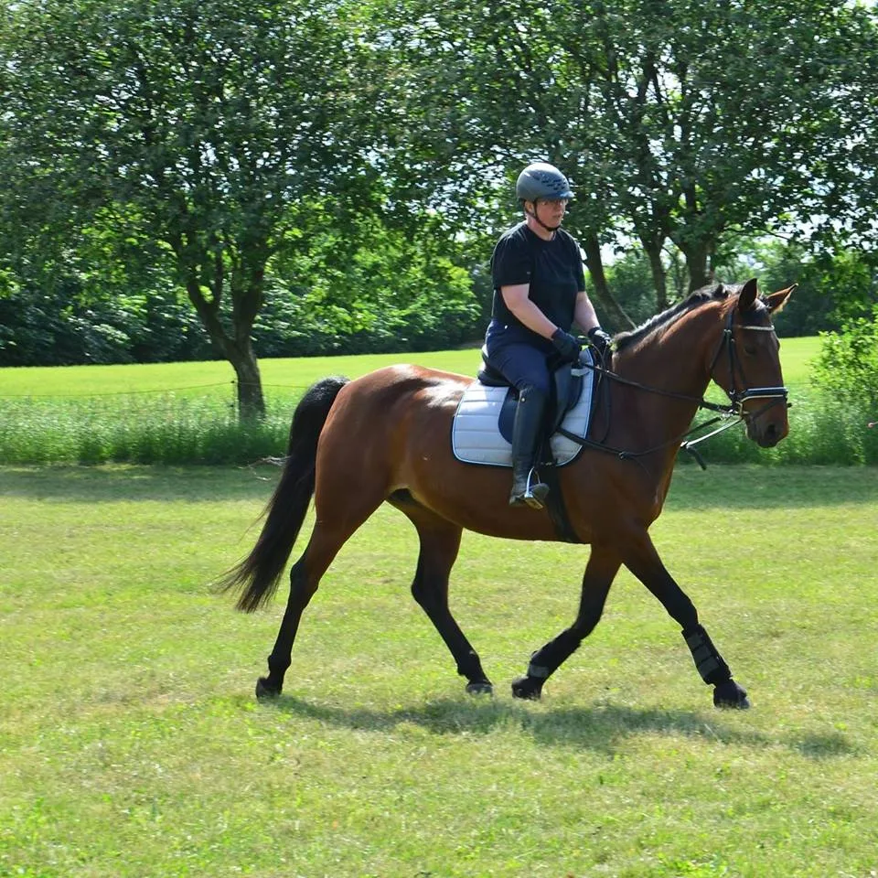 reitstall silver in handewitt - photo 2