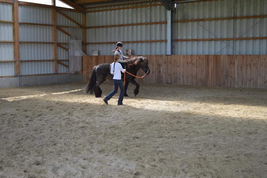 Pferde- und Reitschule am Talberg - photo 1