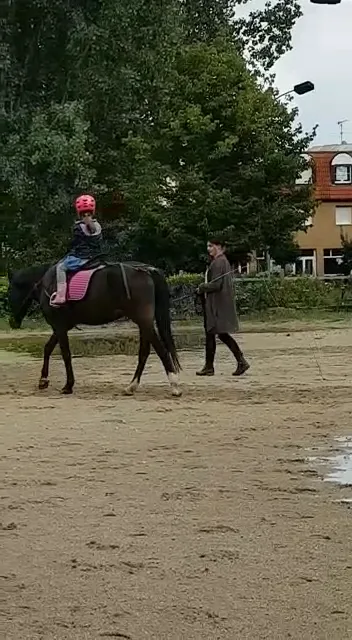 Reitunterricht & Hippotherapie - Foto 1