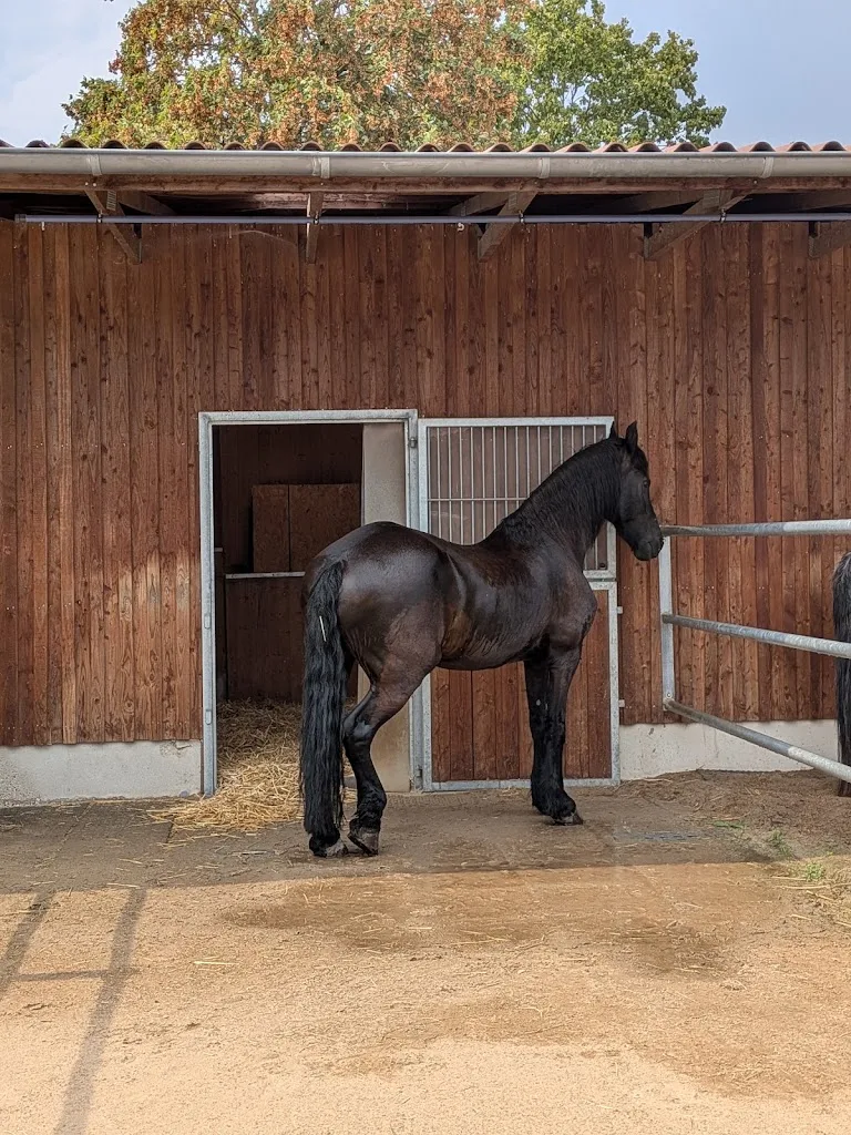 TLS Ranch - Foto 1