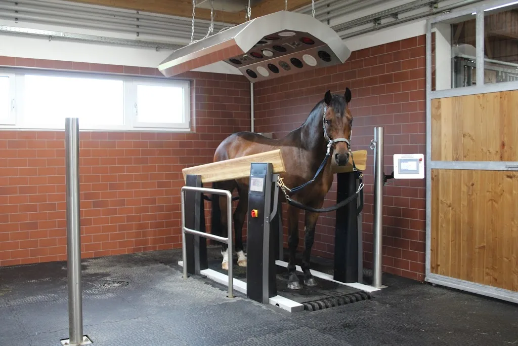 REHA HORSE FIT - Foto 1