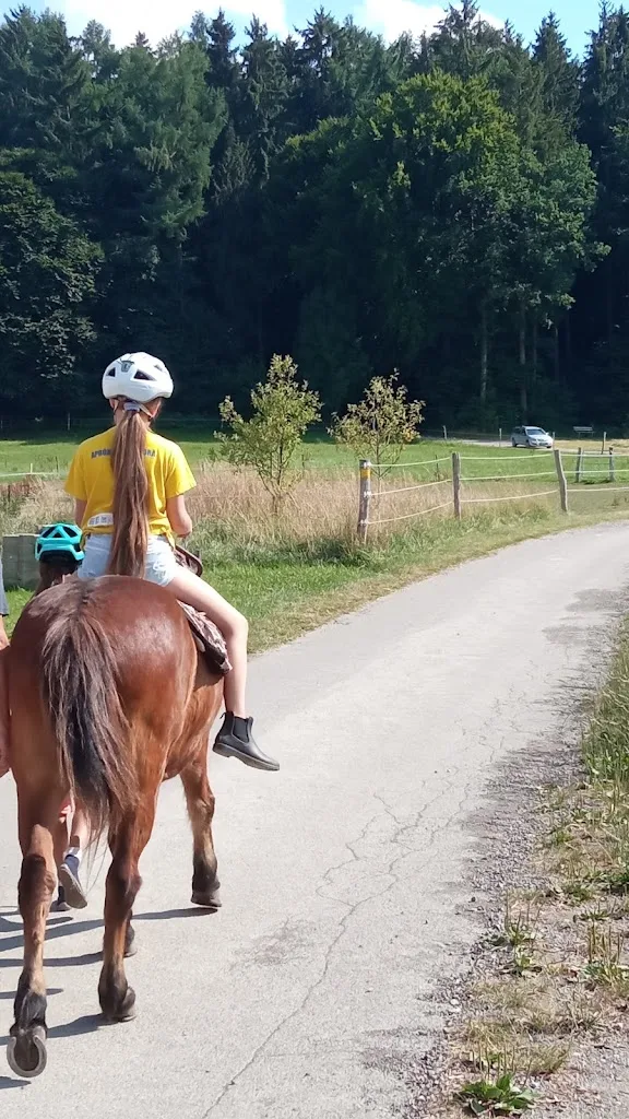 REHA HORSE FIT - Foto 2