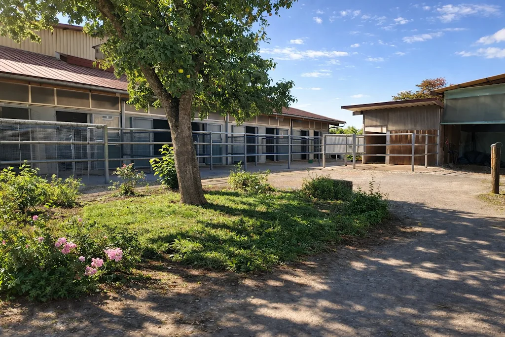 Rainbow Stable - Foto 1