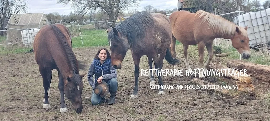 Rainbow Stable - Foto 2