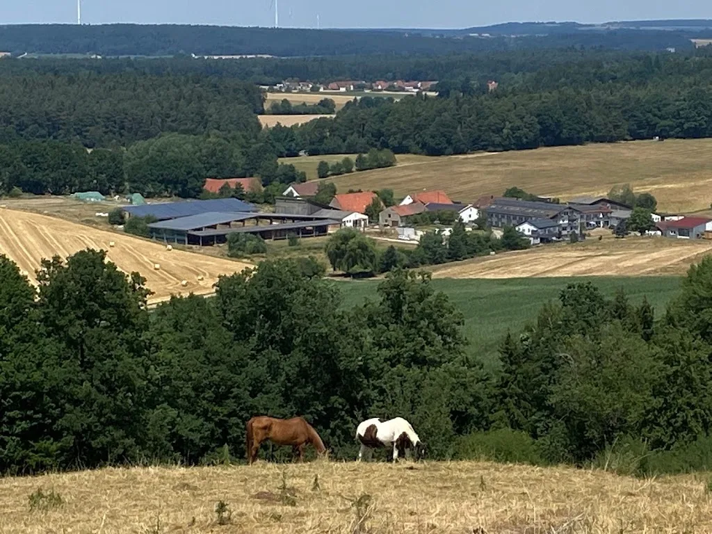 Pferdeland Unterbronnen - Foto 1