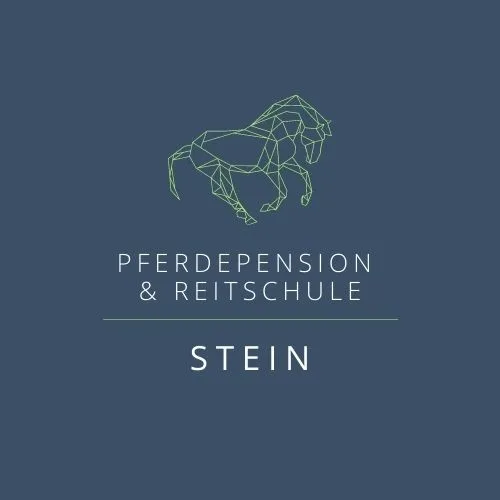 Reiten am Kaiserstuhl Jennifer Wegert-Stein - photo 2