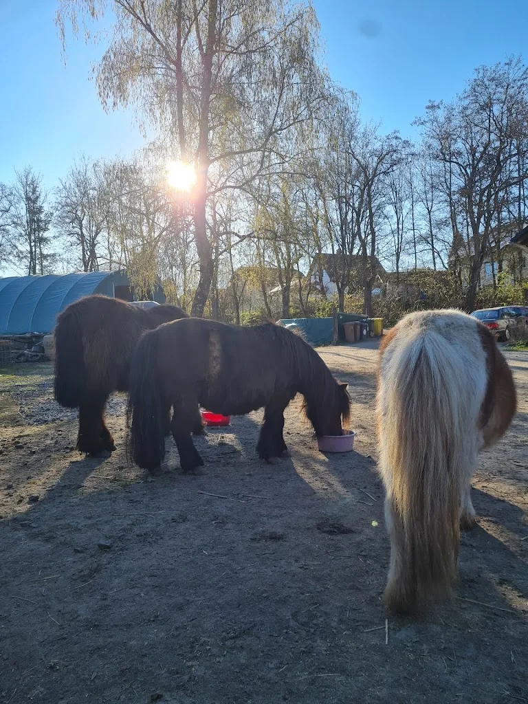 Hof für alle Felle - Foto 2