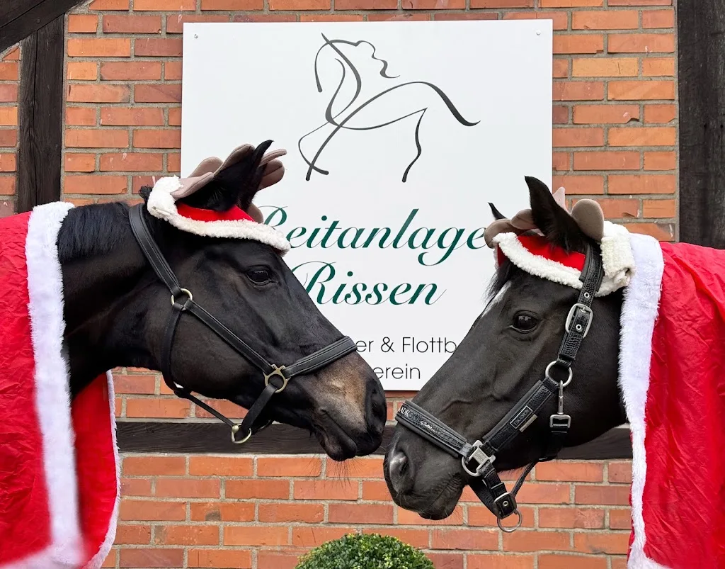 Reitanlage Rissen - photo 2
