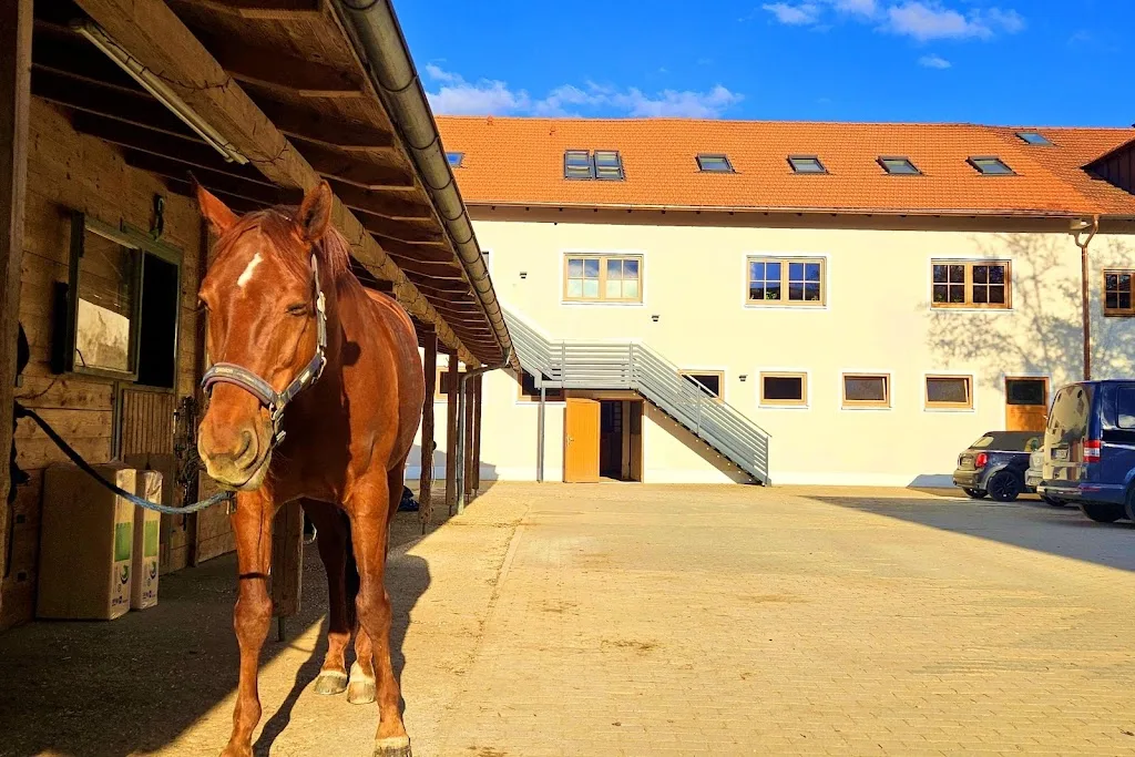 Equilibrium-Reitsport - Foto 1