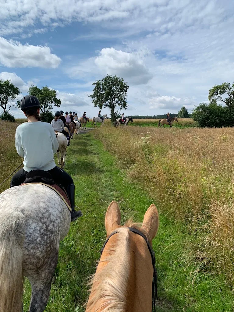 Palominogestüt Kappe - Foto 2