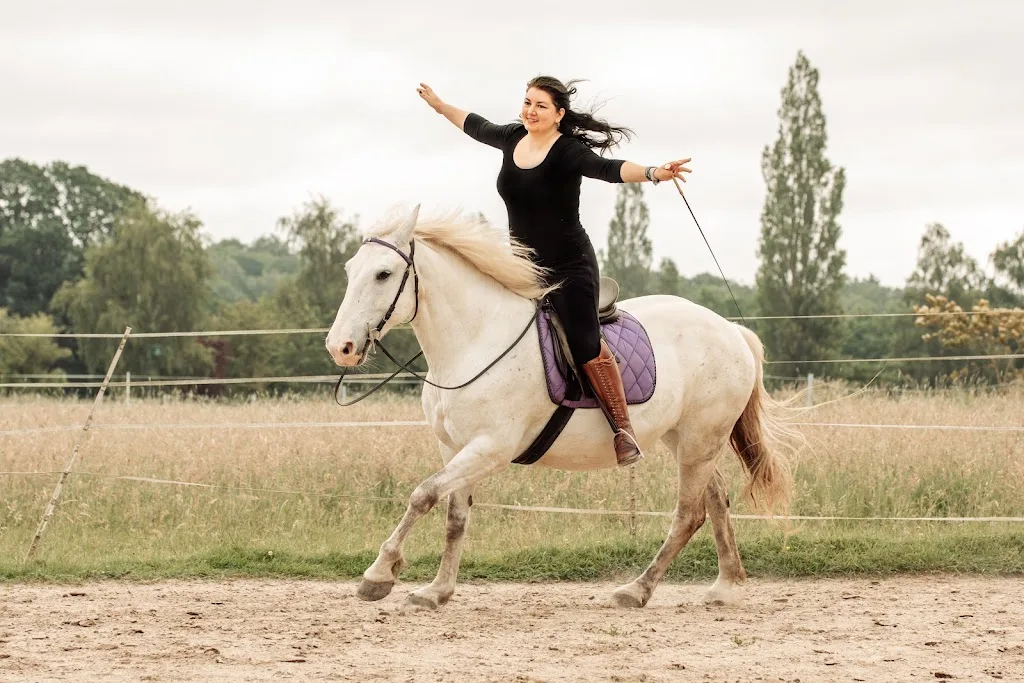 Pony-Pferdeland - Foto 1