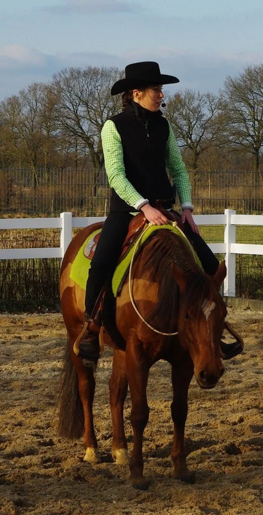 Pony-Pferdeland - Foto 2