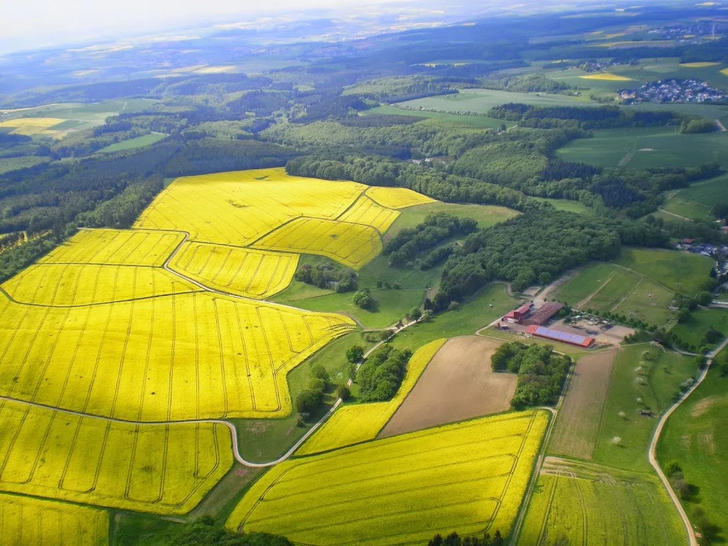 Hof Hasselborn - Foto 1