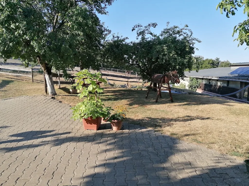 Hof Hasselborn - Foto 2