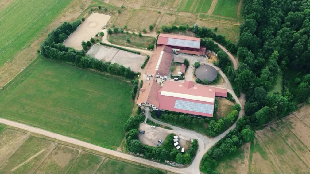 Täleshof - photo 1