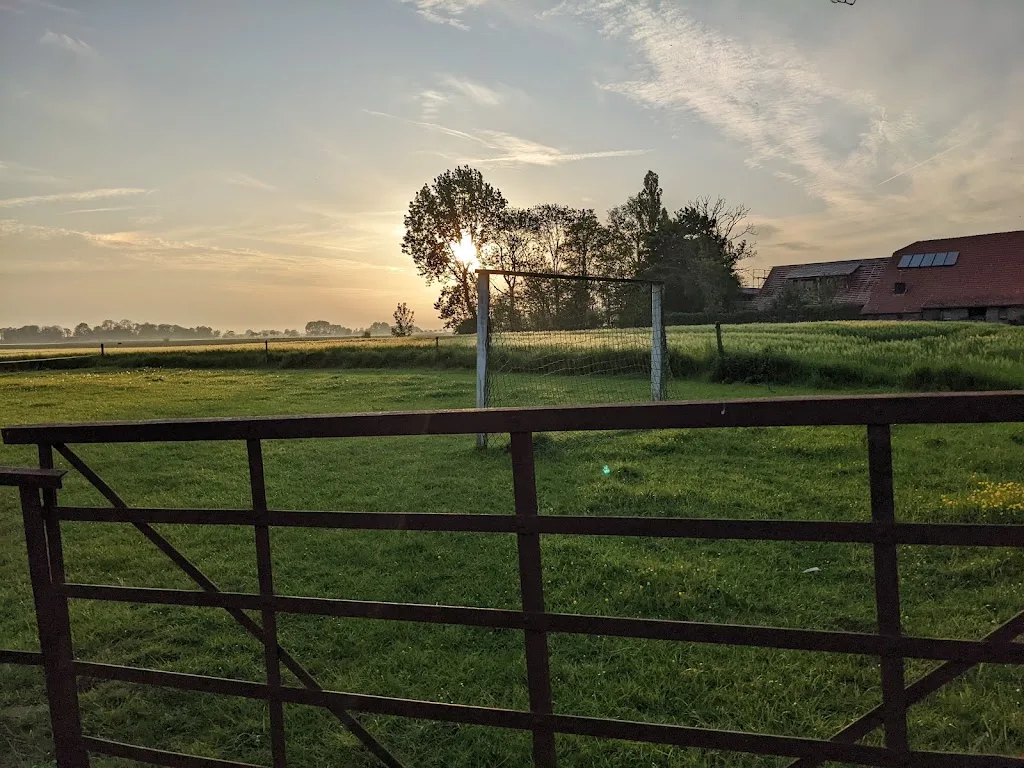 Pferdezucht Thuenenhof - Foto 1