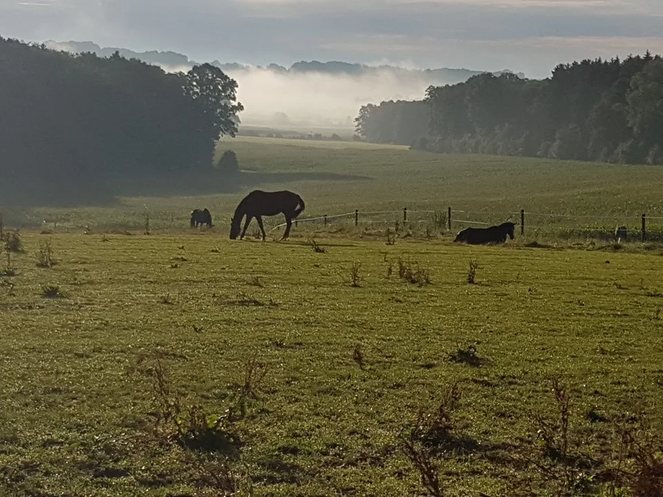 Reitstall Percha - photo 1