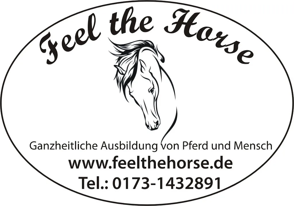 Reitunterricht & Pferdeausbildung - Feel the Horse - Foto 1