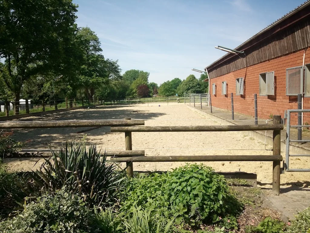 Reitanlage Fockenberg - Inhaber Thomas Fockenberg - photo 2