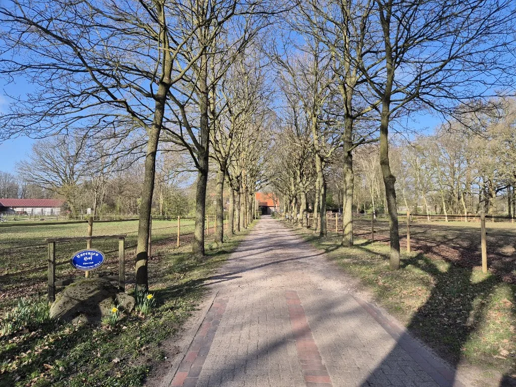 Lorenzen-Hof - Foto 3