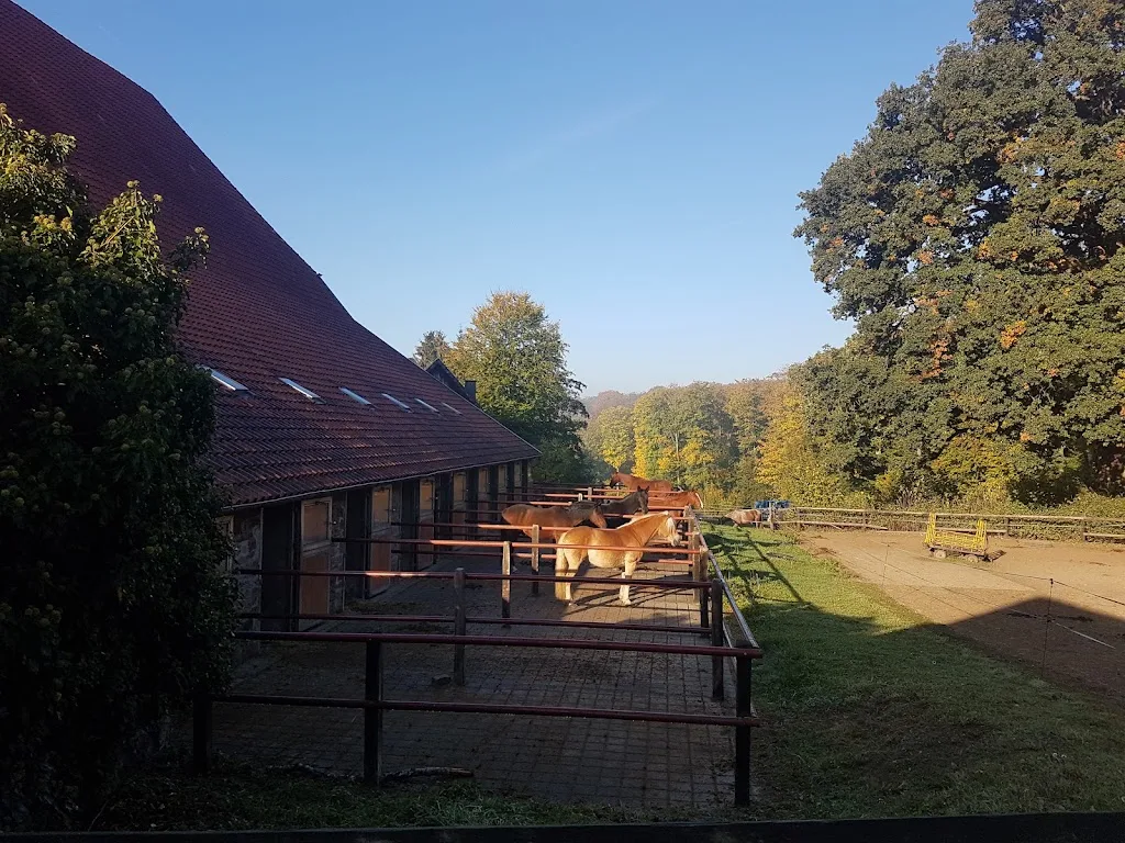 Reitsportanlage Falkental - photo 2