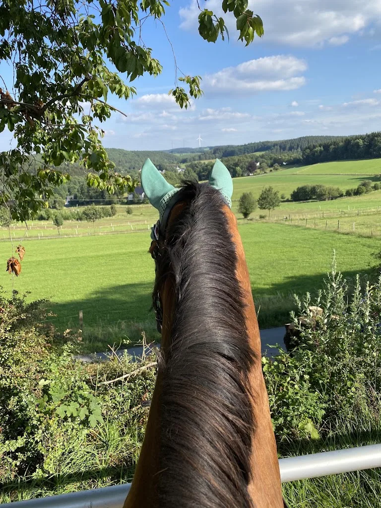 Reitanlage Wacker - photo 3