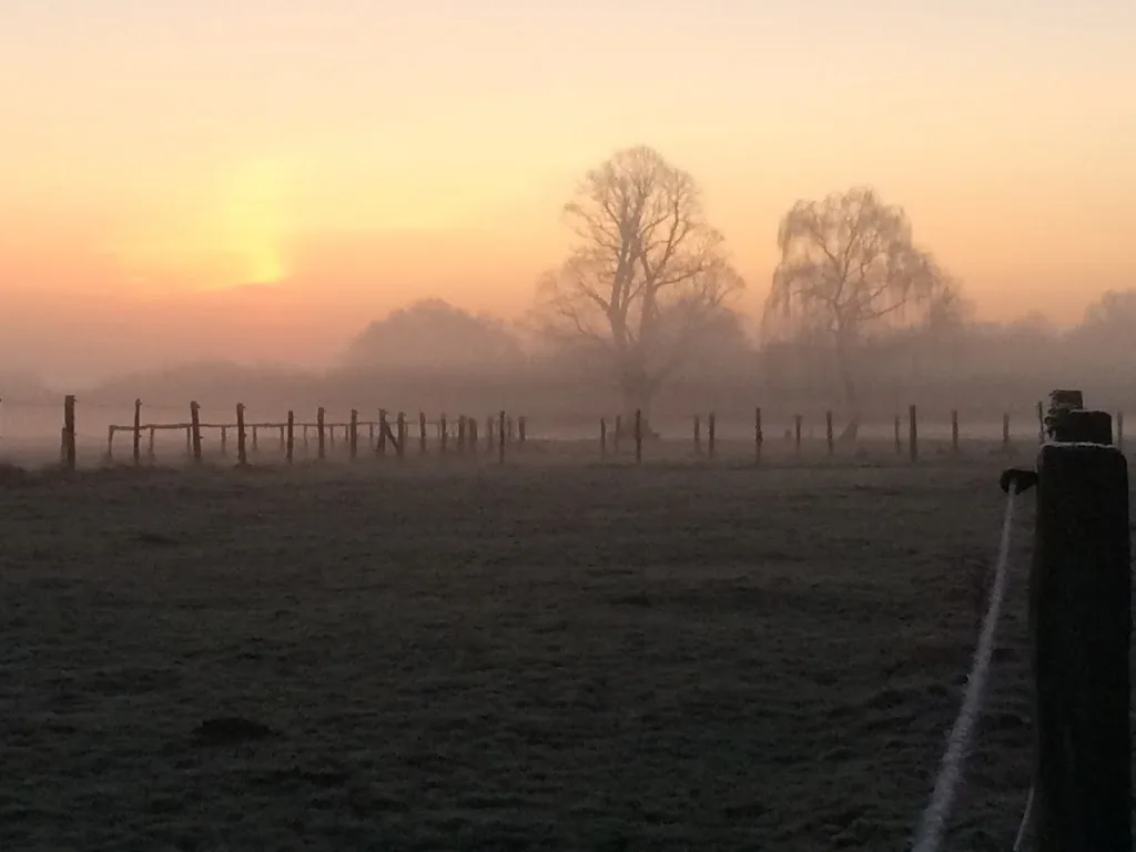 Reitanlage Heyderhof - Foto 1
