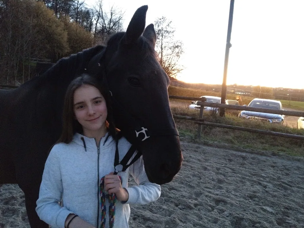 Reitanlage Elsfelder Hof - photo 1