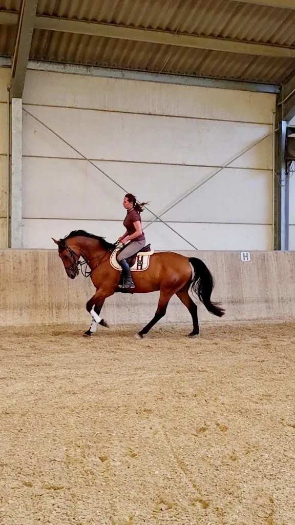 Reitanlage Elsfelder Hof - photo 2